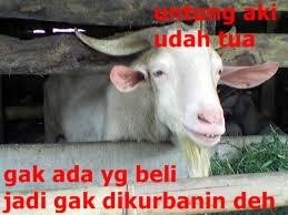 MEME of IDUL ADHA &#91;ayo masuk, mari kita ngakak&#93;