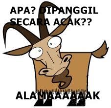 MEME of IDUL ADHA &#91;ayo masuk, mari kita ngakak&#93;