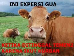 MEME of IDUL ADHA &#91;ayo masuk, mari kita ngakak&#93;