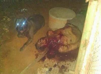 81yo Killed By Pitbull Dog