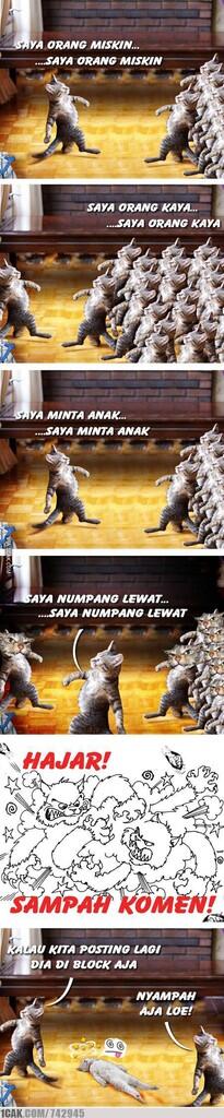 Kisah Si Kucing yang Numpang lewat