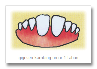 Tip-Tips Memilih Hewan Qurban