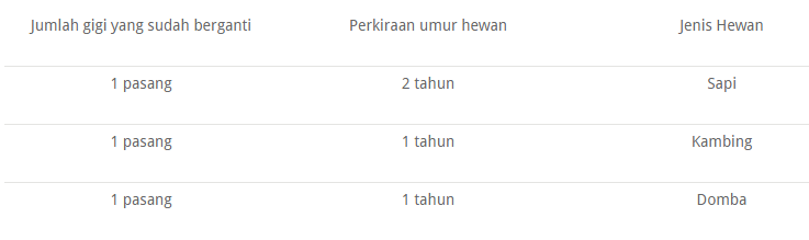 Tip-Tips Memilih Hewan Qurban