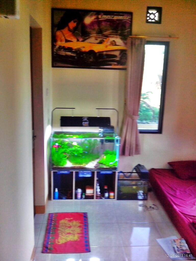 AQUASCAPE, Pesona Taman Di Dalam Akuarium &#91;Must See!!!&#93;