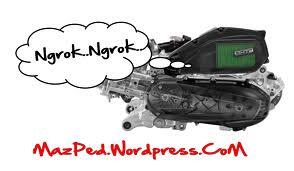 BEBERAPA FAKTA NGOROK VERSI ANE