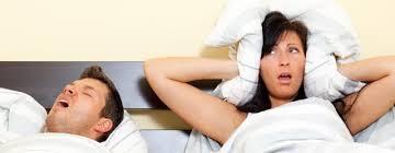 BEBERAPA FAKTA NGOROK VERSI ANE