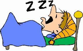 BEBERAPA FAKTA NGOROK VERSI ANE