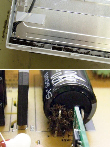 Apa Saja Sih Yang Bisa Kamu Temui Saat Bongkar PC ?