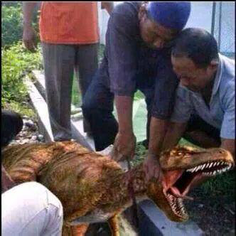 Qurban ditempat ane anti mainstream gan