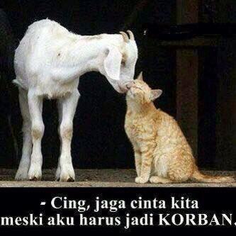 Kumpulan Meme lucu Idul Adha