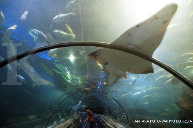 &#91;Fix!! Karena Setoran kurang!!&#93;Jaya Ancol minta kenaikan bagi hasil Sea World