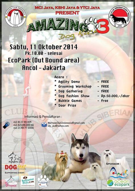 Kopdar Amazing Dog Race &amp; Latihan Bersama EcoPark Ancol