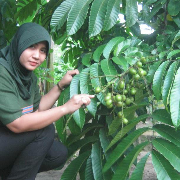 Buah - Buahan masa kecil, Anak2 sekarang masih doyan gk y??