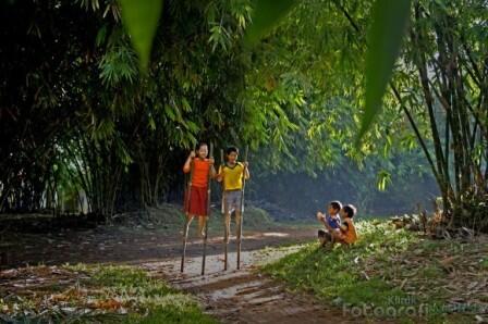 Hubungan yang erat antara Masyarakat Indonesia dengan Pohon Bambu