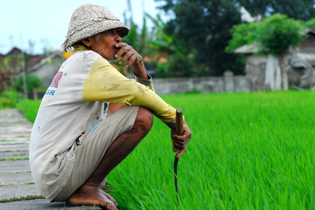 BEBERAPA &quot;KEJANGGALAN&quot; BUDIDAYA LELE ALA BIOFLOK DENGAN KOLAM TERPAL