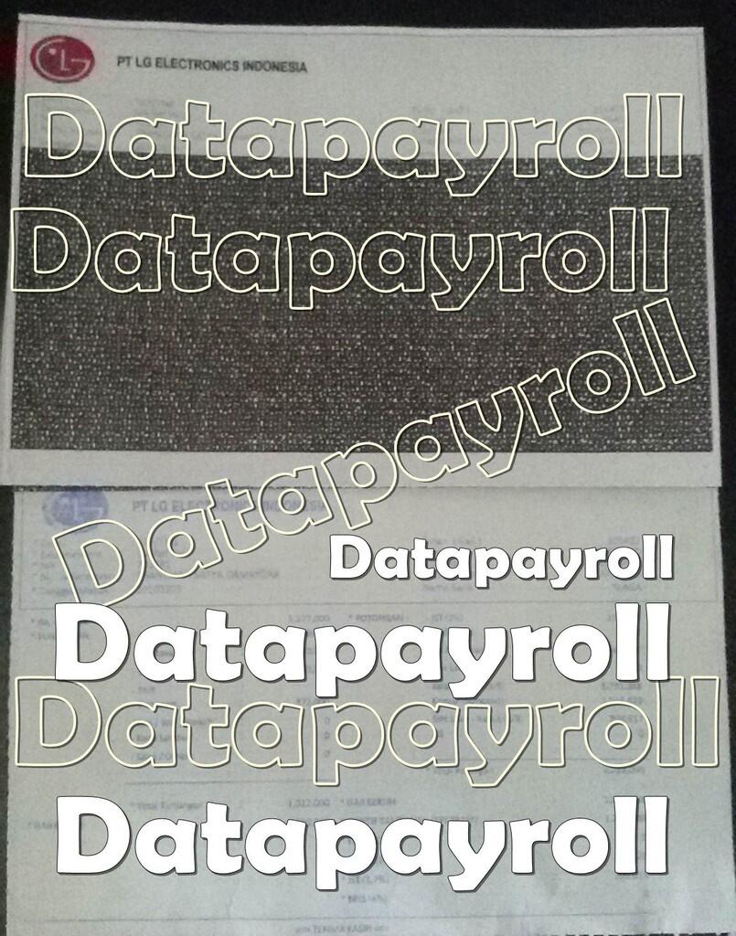 Terjual jasa slip gaji carbonized original seller KASKUS
