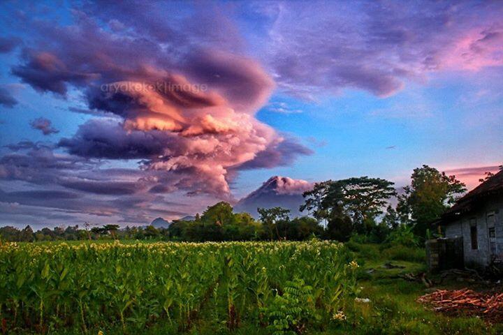 Fonomena Awan Lenticular &#91;Pict++&#93;