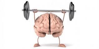 tips 10 Cara Olahraga Otak