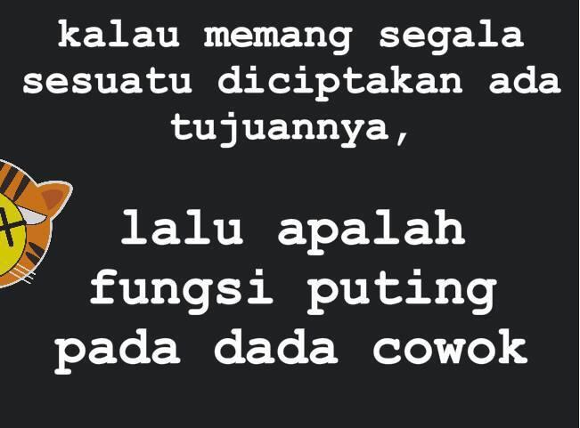 Cowo Mangsupp (Ane Bukan Mahoo kok)