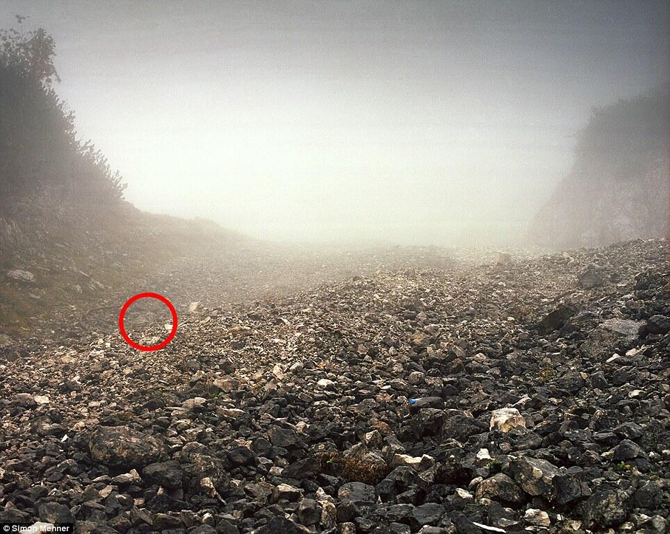 &#91;Tebak Photo&#93; Can you spot the sniper?