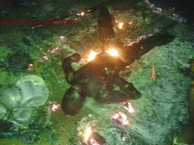 Homeless Man Burned Alive