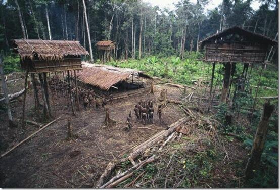 Mengenal Lebih dekat Suku Rimba Indonesia