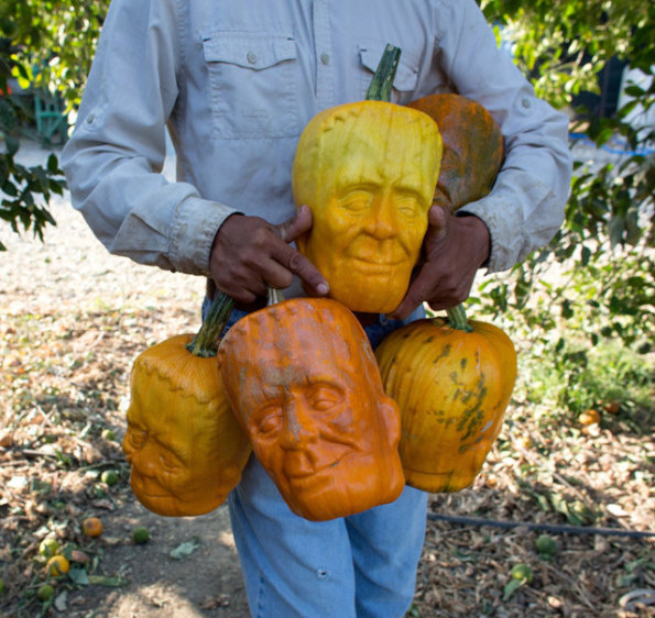 &#91;Keren&#93;Orang ini Menciptakan Monster Labu!!!