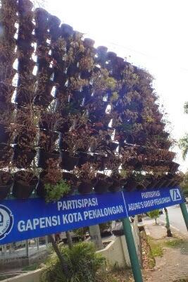 Minim Anggaran Perawatan, Tanaman Taman Vertikal Mati Kekeringan