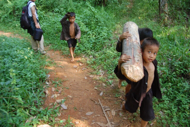 Mengenal Lebih dekat Suku Rimba Indonesia