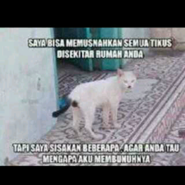 Reinkarnasi hitler