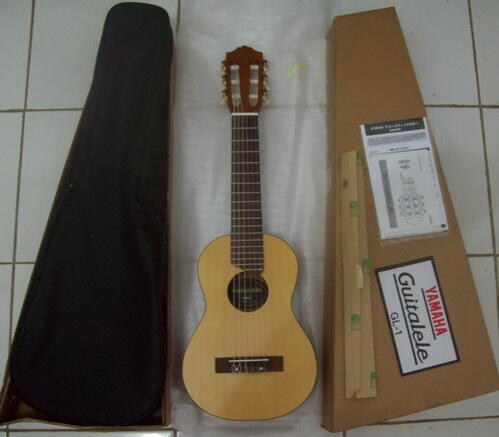 Gitar Akustik Yamaha NEW and ORI