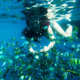 Paket Liburan Pulau Seribu