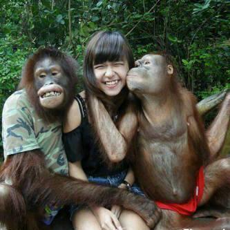 Gan gan.. lagi jones? Kok sama monyet aja kalah gan