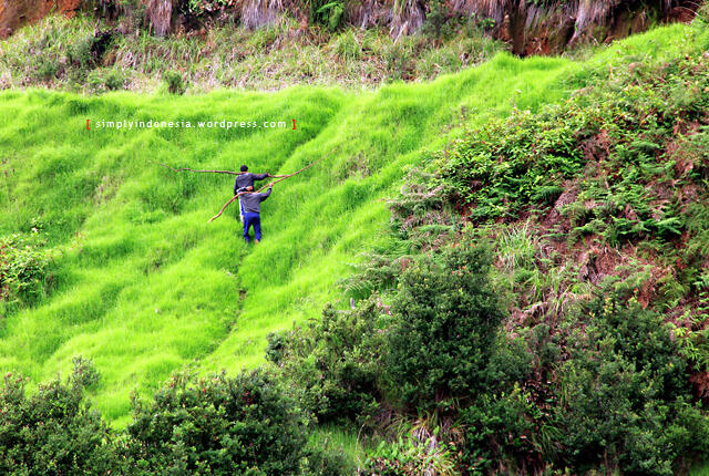 Berbagai Alasan Kenapa Para Pendaki Gunung Itu Cool