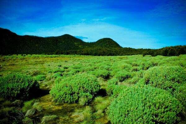 Berbagai Alasan Kenapa Para Pendaki Gunung Itu Cool