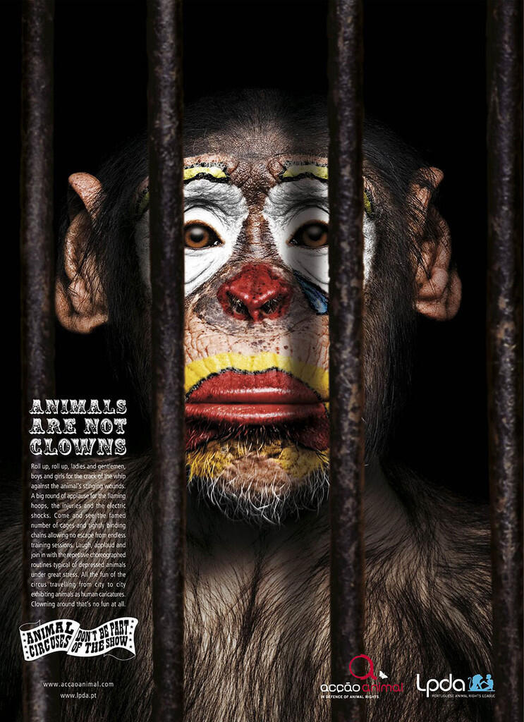 Aneka Macam Iklan yang Amazing Untuk Selamatkan Hewan
