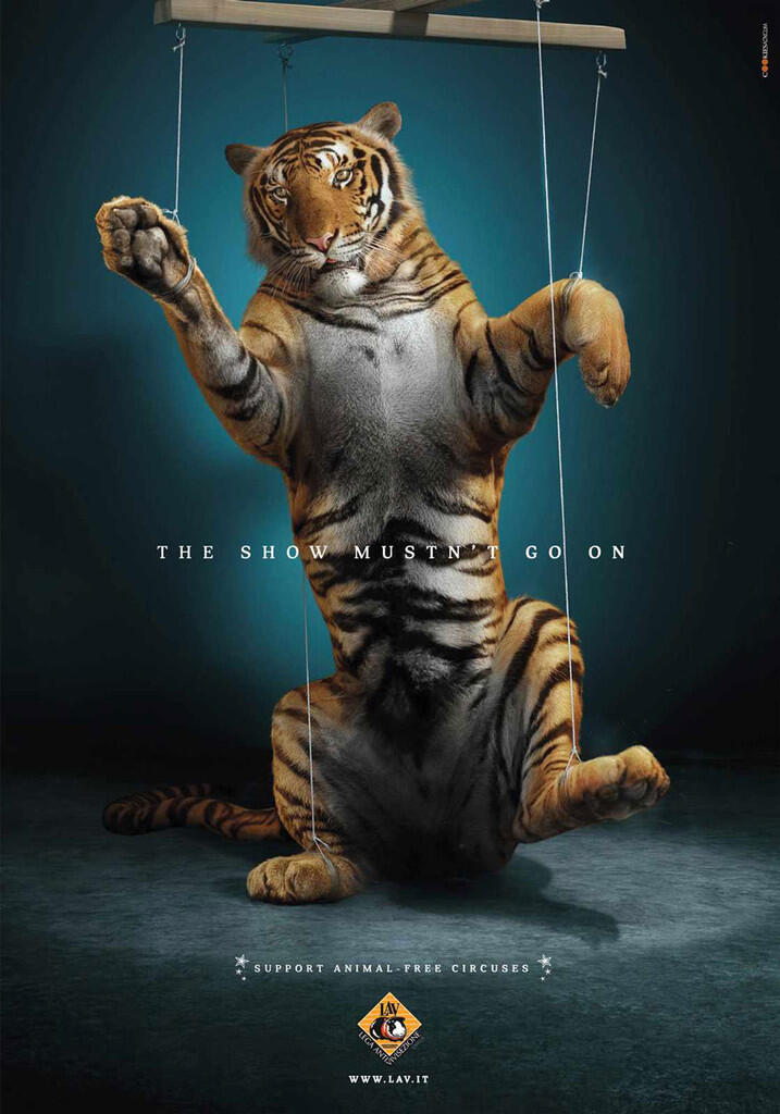 Aneka Macam Iklan yang Amazing Untuk Selamatkan Hewan