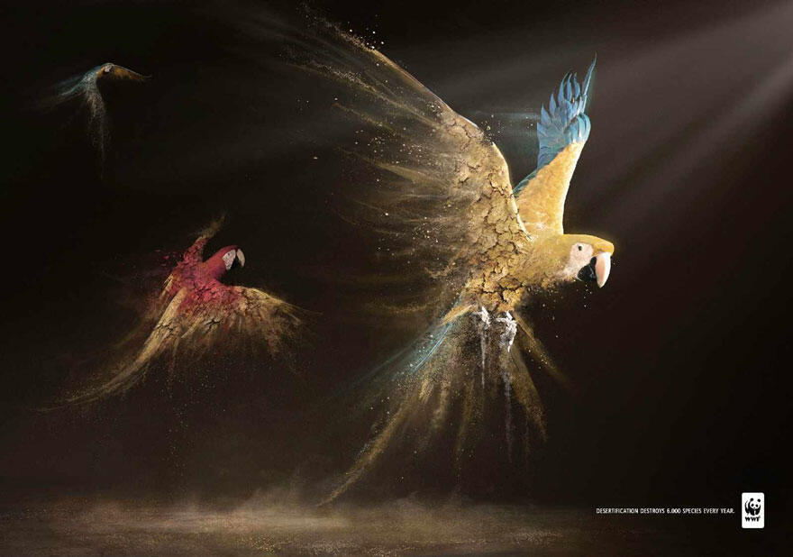 Aneka Macam Iklan yang Amazing Untuk Selamatkan Hewan