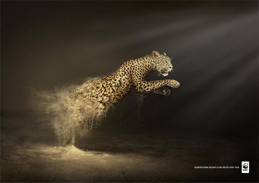 Aneka Macam Iklan yang Amazing Untuk Selamatkan Hewan