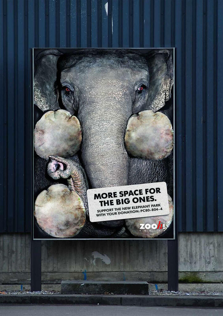 Aneka Macam Iklan yang Amazing Untuk Selamatkan Hewan