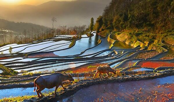 Foto Mengagumkan Berlatar Pemandangan Asia