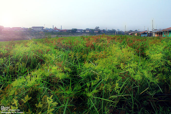 PAGI DI SISI SUNGAI KAPUAS JONGKONG KAPUAS HULU