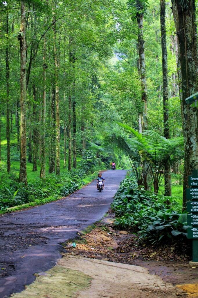 Sedikit CatPer libur lebaran di Gunung Bunder - Bogor. Puncak ke-2 nya Bogor.
