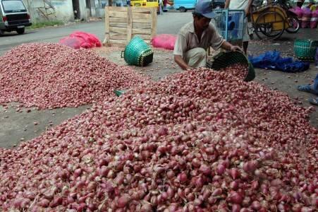 Bawang Merah Probolinggo l Berbagai Macam l Murah