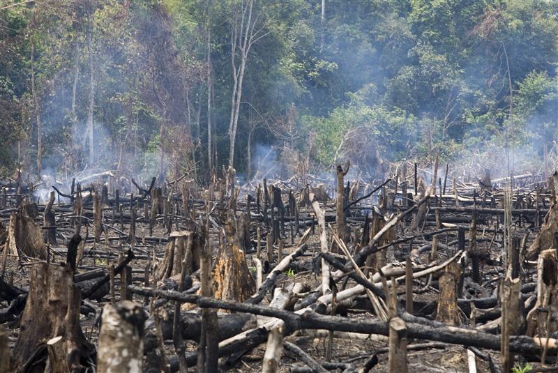 Peduli dengan Lingkungan Indonesia? Buktiin disini!