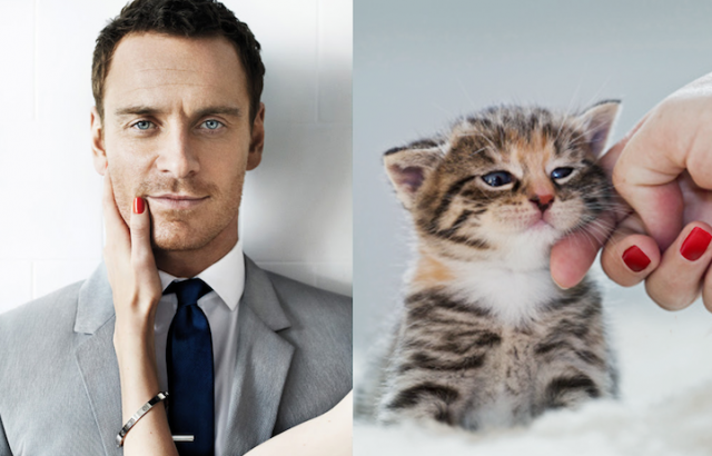 Gini Jadinya Kalo Para Kucing Imut Berpose mirip Model Pria