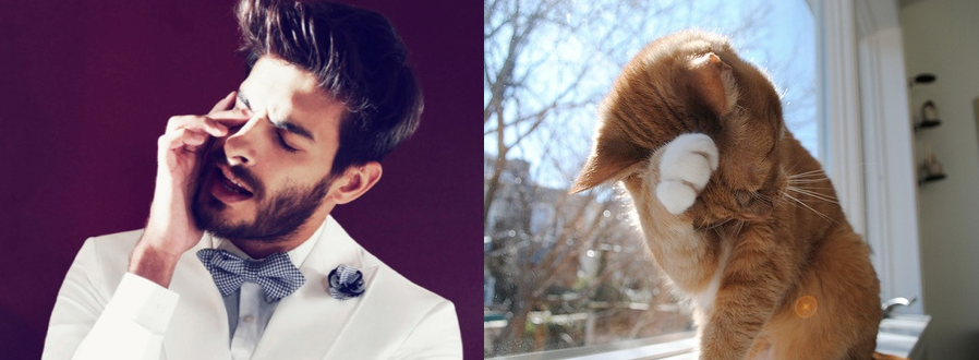 Gini Jadinya Kalo Para Kucing Imut Berpose mirip Model Pria