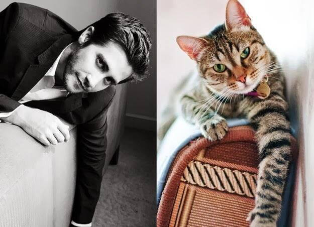 Gini Jadinya Kalo Para Kucing Imut Berpose mirip Model Pria