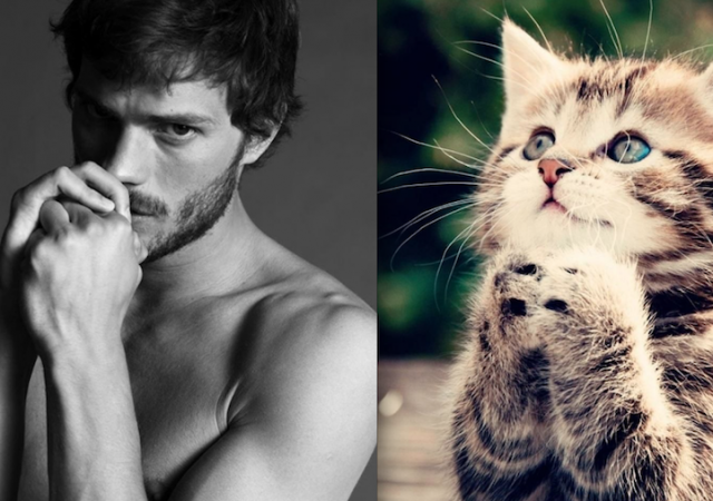 Gini Jadinya Kalo Para Kucing Imut Berpose mirip Model Pria