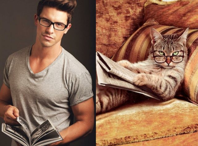 Gini Jadinya Kalo Para Kucing Imut Berpose mirip Model Pria